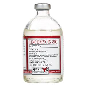 Lincomycin 300 Injection Swine Antibiotic  Vettek